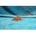 Koper (20ᵉ eeuw)
Broche met steentjes