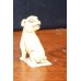 Chinees (19e eeuw) Ivoor Netsuke uitgesneden Hond
