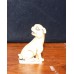 Chinees (19e eeuw) Ivoor Netsuke uitgesneden Hond