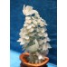 Chinees (Vintage) Jade